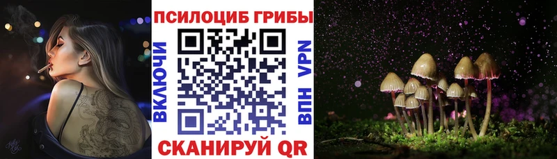 продажа наркотиков  Звенигород  Галлюциногенные грибы мицелий 
